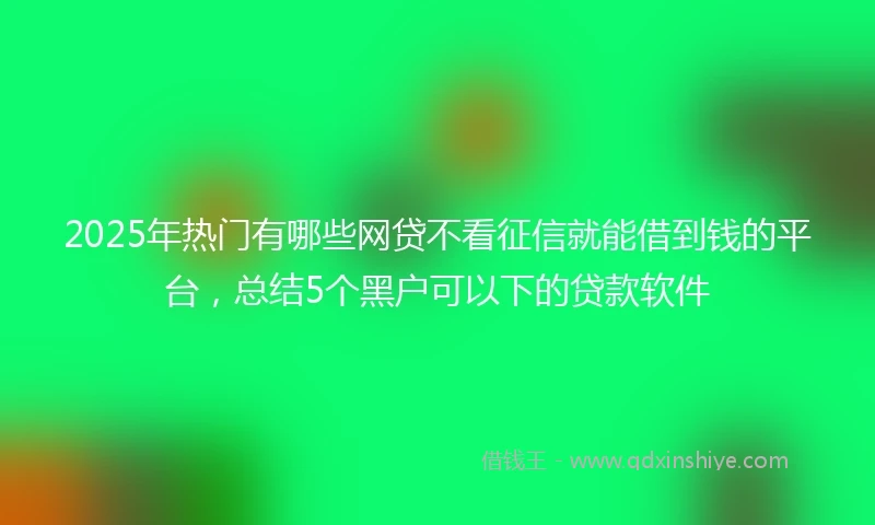 2025年热门有哪些网贷不看征信就能借到钱的平台，总结5个黑户可以下的贷款软件