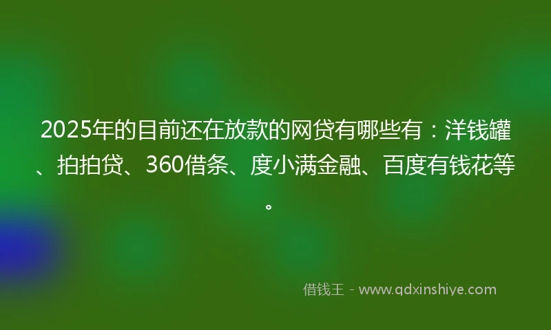 2025年的目前还在放款的网贷有哪些有：洋钱罐、拍拍贷、360借条、度小满金融、百度有钱花等。