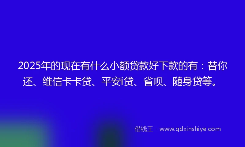 2025年的现在有什么小额贷款好下款的有：替你还、维信卡卡贷、平安i贷、省呗、随身贷等。