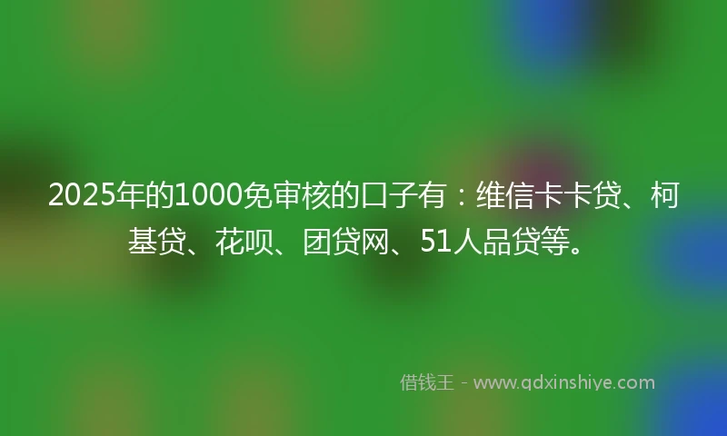 2025年的1000免审核的口子有：维信卡卡贷、柯基贷、花呗、团贷网、51人品贷等。
