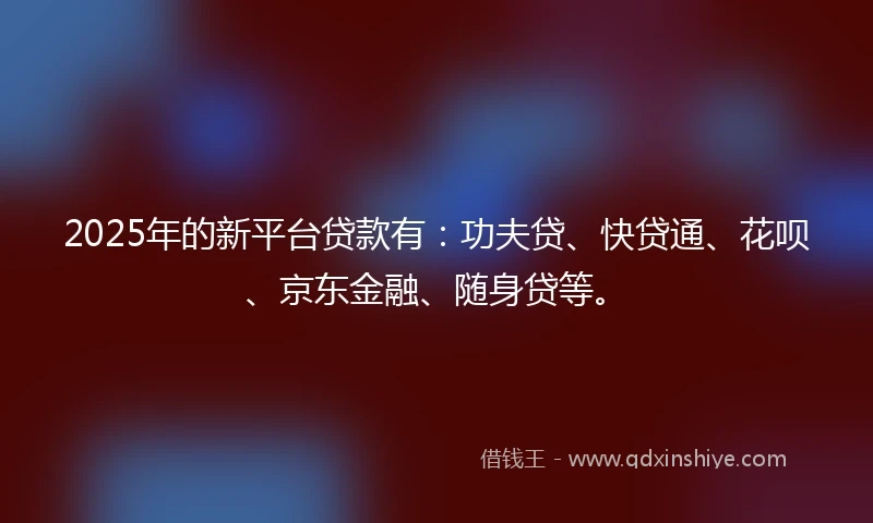 2025年的新平台贷款有：功夫贷、快贷通、花呗、京东金融、随身贷等。