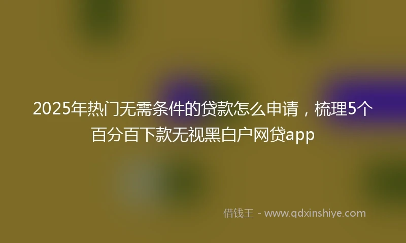2025年热门无需条件的贷款怎么申请，梳理5个百分百下款无视黑白户网贷app
