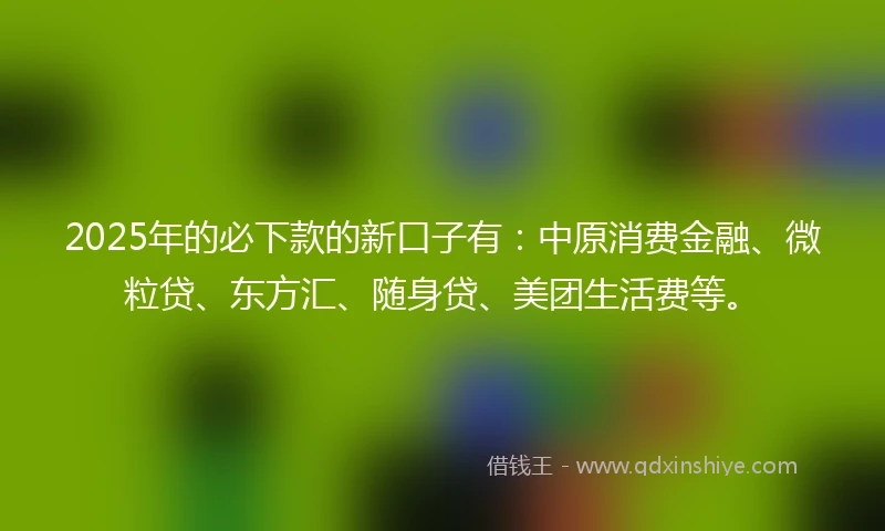 2025年的必下款的新口子有：中原消费金融、微粒贷、东方汇、随身贷、美团生活费等。