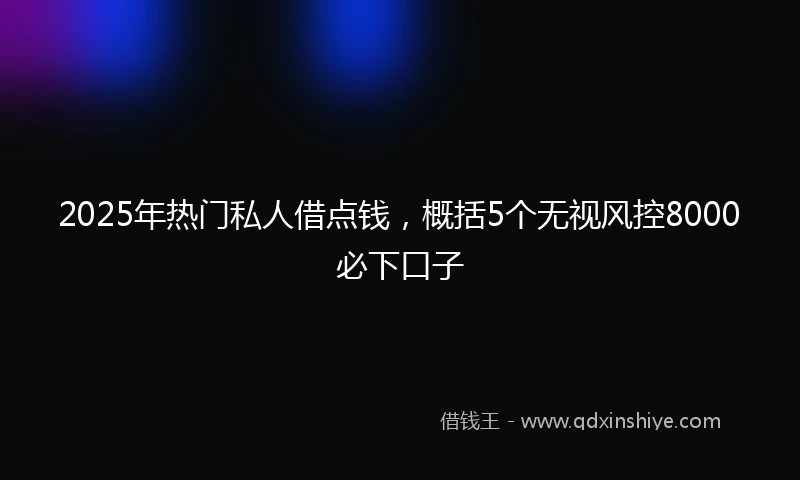 2025年热门私人借点钱，概括5个无视风控8000必下口子