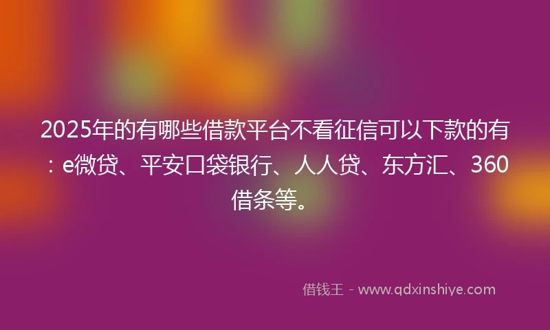 2025年的有哪些借款平台不看征信可以下款的有：e微贷、平安口袋银行、人人贷、东方汇、360借条等。