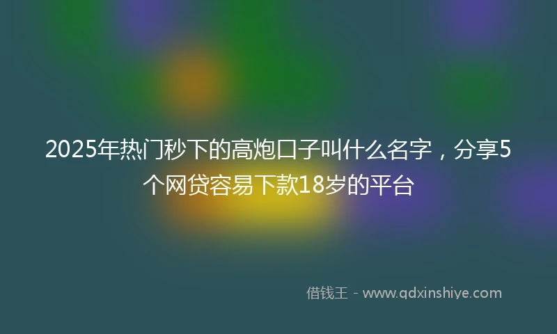 2025年热门秒下的高炮口子叫什么名字，分享5个网贷容易下款18岁的平台