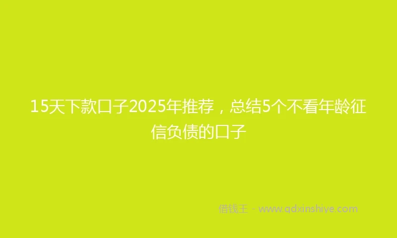 15天下款口子2025年推荐，总结5个不看年龄征信负债的口子