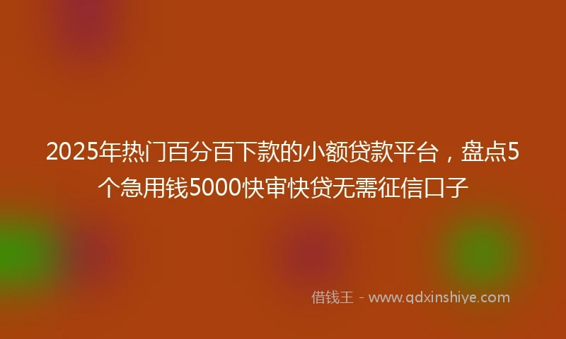 2025年热门百分百下款的小额贷款平台，盘点5个急用钱5000快审快贷无需征信口子