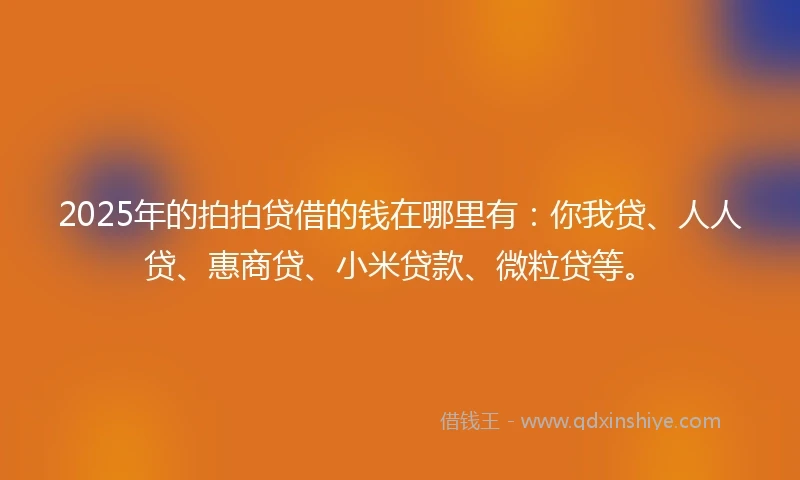 2025年的拍拍贷借的钱在哪里有：你我贷、人人贷、惠商贷、小米贷款、微粒贷等。