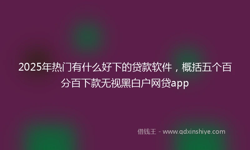 2025年热门有什么好下的贷款软件，概括五个百分百下款无视黑白户网贷app