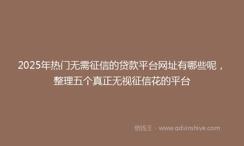 2025年热门无需征信的贷款平台网址有哪些呢，整理五个真正无视征信花的平台