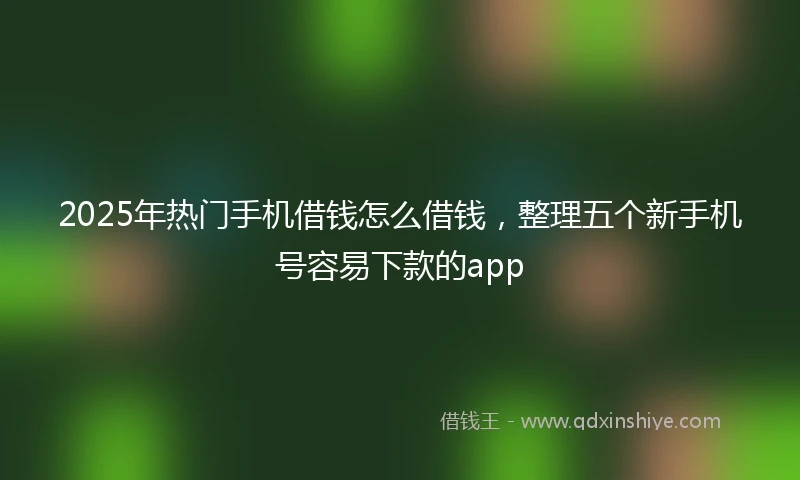 2025年热门手机借钱怎么借钱，整理五个新手机号容易下款的app