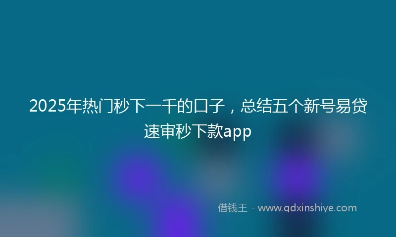 2025年热门秒下一千的口子，总结五个新号易贷速审秒下款app