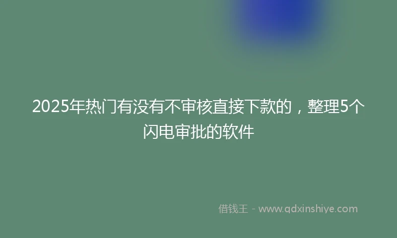 2025年热门有没有不审核直接下款的，整理5个闪电审批的软件