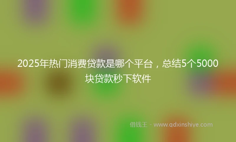 2025年热门消费贷款是哪个平台，总结5个5000块贷款秒下软件
