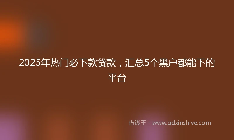 2025年热门必下款贷款，汇总5个黑户都能下的平台