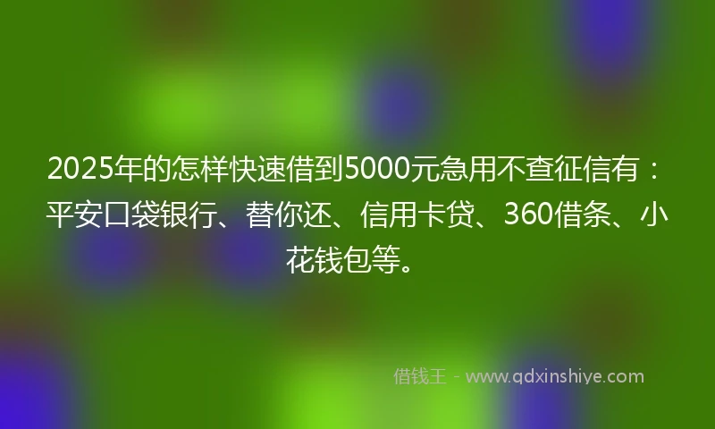 2025年的怎样快速借到5000元急用不查征信有：平安口袋银行、替你还、信用卡贷、360借条、小花钱包等。