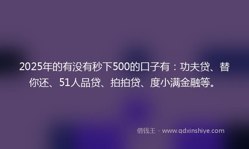 2025年的有没有秒下500的口子有：功夫贷、替你还、51人品贷、拍拍贷、度小满金融等。
