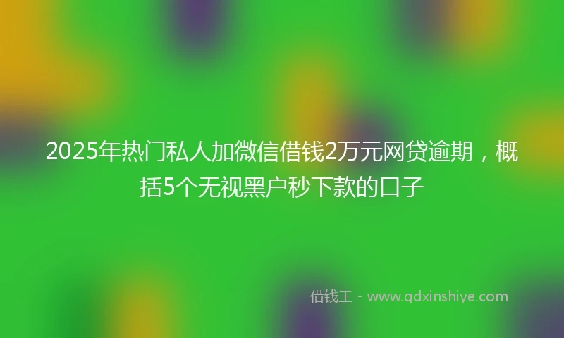 2025年热门私人加微信借钱2万元网贷逾期，概括5个无视黑户秒下款的口子