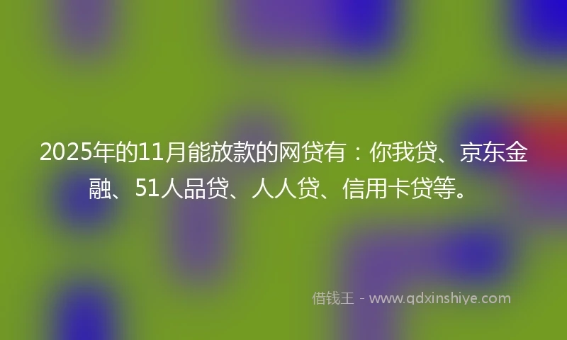 2025年的11月能放款的网贷有：你我贷、京东金融、51人品贷、人人贷、信用卡贷等。
