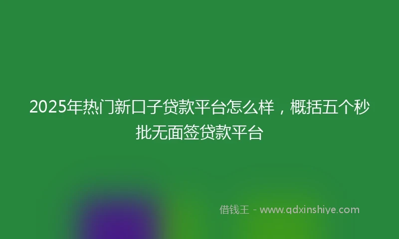 2025年热门新口子贷款平台怎么样，概括五个秒批无面签贷款平台