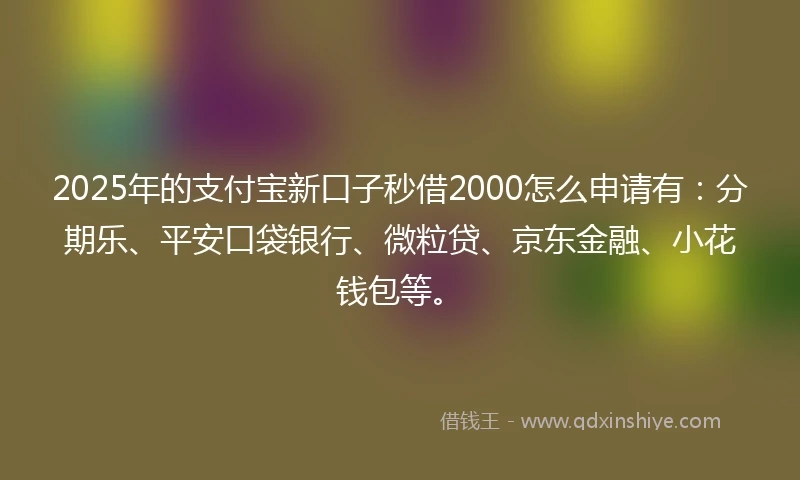 2025年的支付宝新口子秒借2000怎么申请有：分期乐、平安口袋银行、微粒贷、京东金融、小花钱包等。