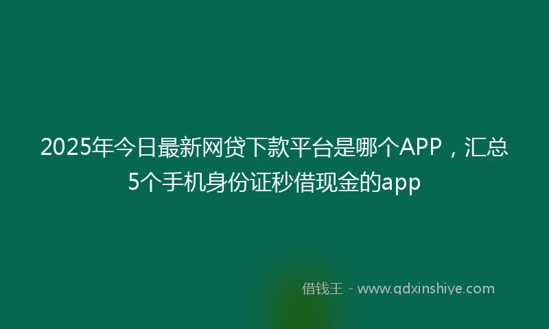 2025年今日最新网贷下款平台是哪个APP，汇总5个手机身份证秒借现金的app