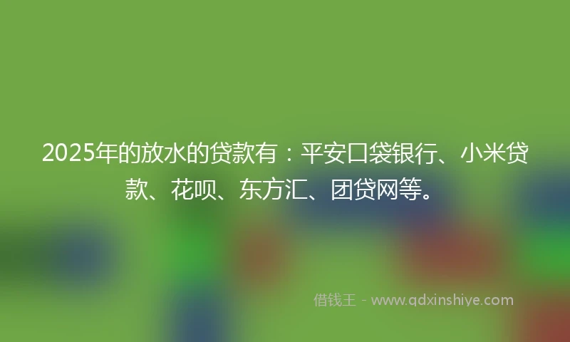 2025年的放水的贷款有：平安口袋银行、小米贷款、花呗、东方汇、团贷网等。