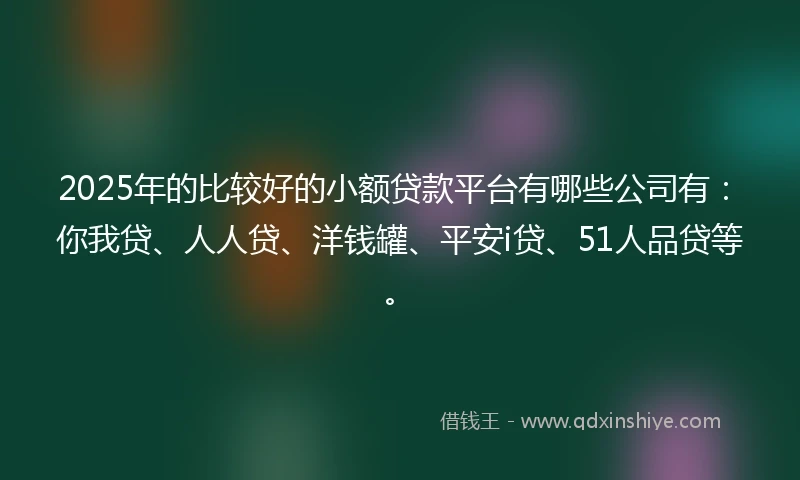 2025年的比较好的小额贷款平台有哪些公司有：你我贷、人人贷、洋钱罐、平安i贷、51人品贷等。