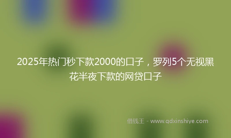 2025年热门秒下款2000的口子，罗列5个无视黑花半夜下款的网贷口子