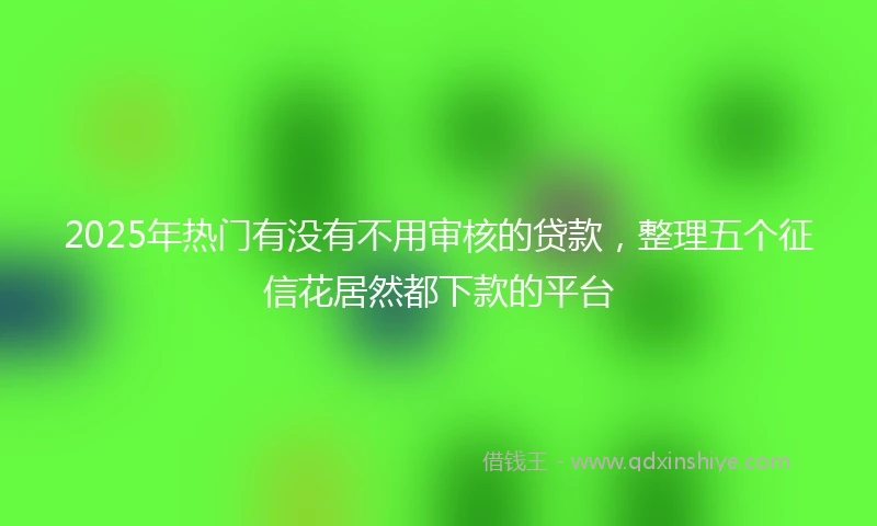 2025年热门有没有不用审核的贷款，整理五个征信花居然都下款的平台