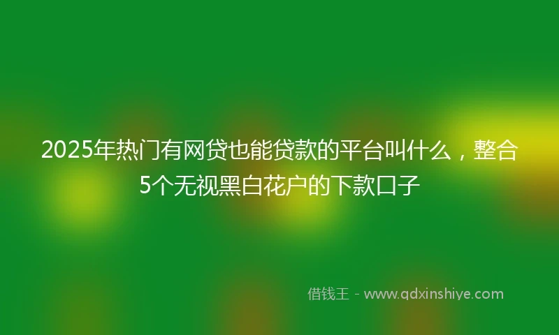 2025年热门有网贷也能贷款的平台叫什么，整合5个无视黑白花户的下款口子