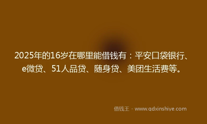 2025年的16岁在哪里能借钱有：平安口袋银行、e微贷、51人品贷、随身贷、美团生活费等。