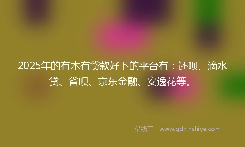 2025年的有木有贷款好下的平台有：还呗、滴水贷、省呗、京东金融、安逸花等。