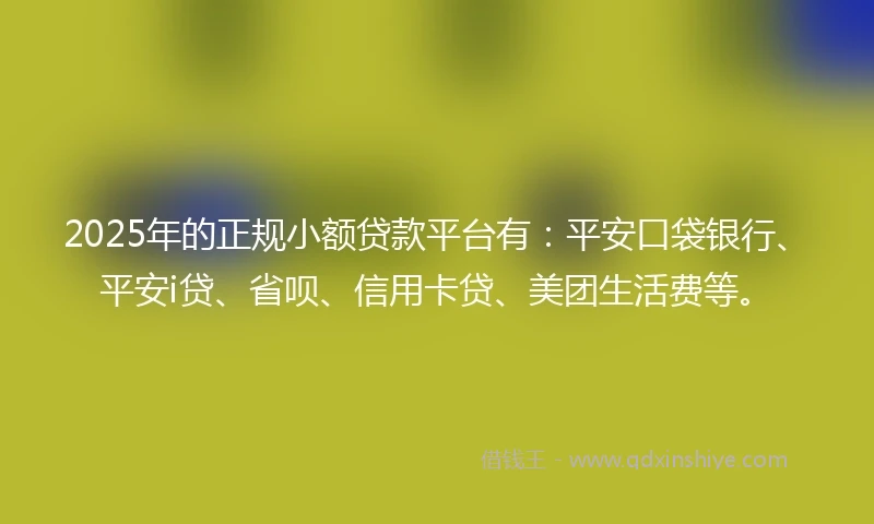 2025年的正规小额贷款平台有：平安口袋银行、平安i贷、省呗、信用卡贷、美团生活费等。