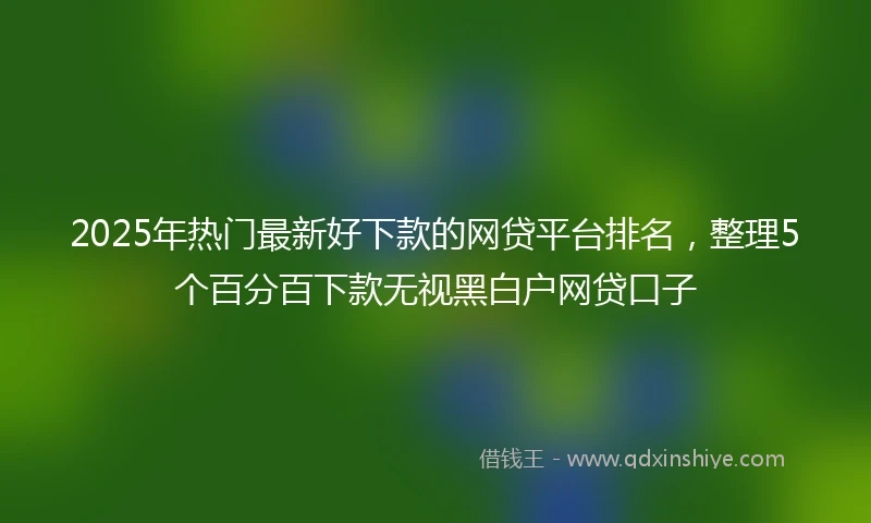 2025年热门最新好下款的网贷平台排名，整理5个百分百下款无视黑白户网贷口子