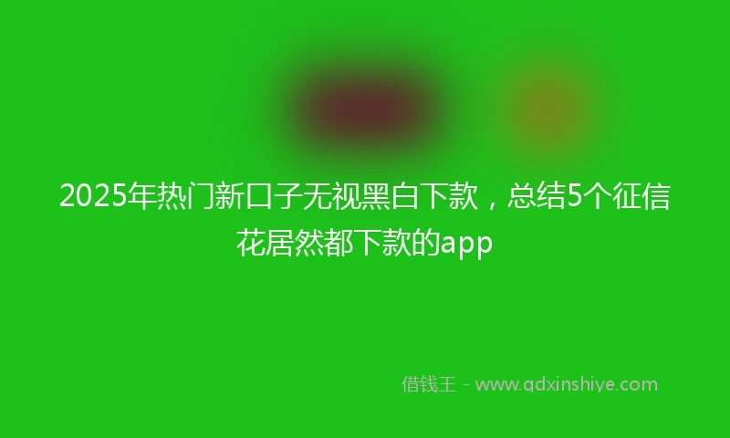 2025年热门新口子无视黑白下款，总结5个征信花居然都下款的app