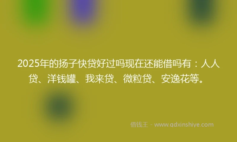 2025年的扬子快贷好过吗现在还能借吗有：人人贷、洋钱罐、我来贷、微粒贷、安逸花等。
