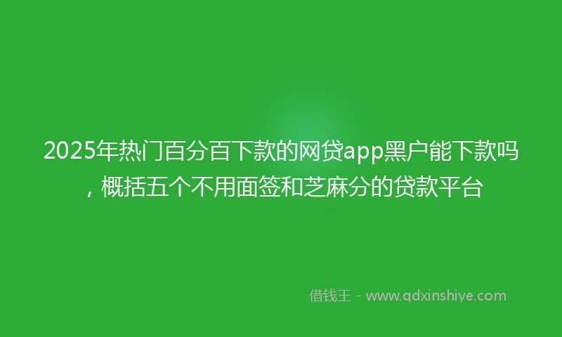 2025年热门百分百下款的网贷app黑户能下款吗,概括五个不用面签和芝麻分的贷款平台