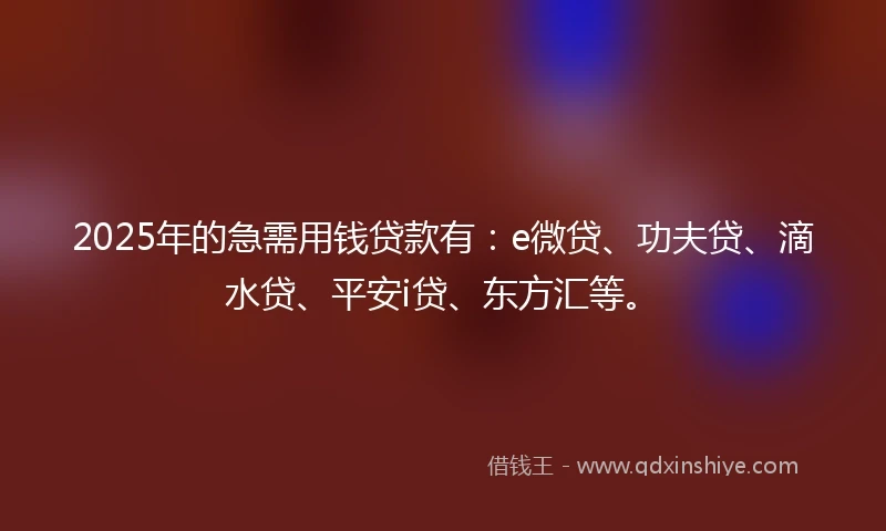 2025年的急需用钱贷款有：e微贷、功夫贷、滴水贷、平安i贷、东方汇等。