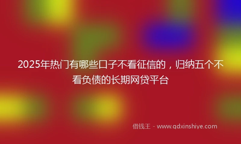2025年热门有哪些口子不看征信的，归纳五个不看负债的长期网贷平台