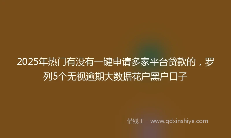 2025年热门有没有一键申请多家平台贷款的，罗列5个无视逾期大数据花户黑户口子