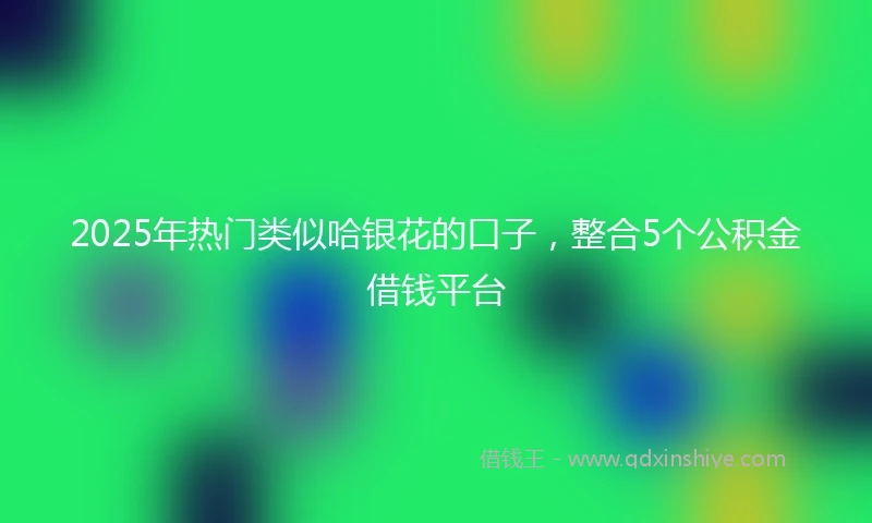 2025年热门类似哈银花的口子，整合5个公积金借钱平台