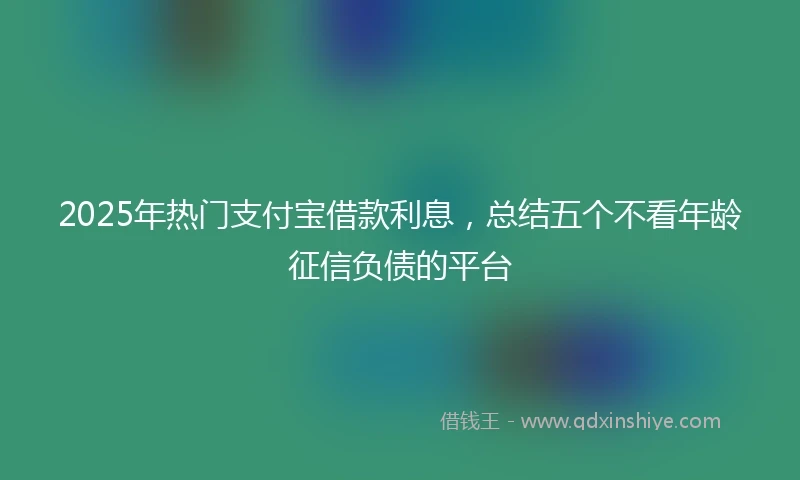2025年热门支付宝借款利息，总结五个不看年龄征信负债的平台