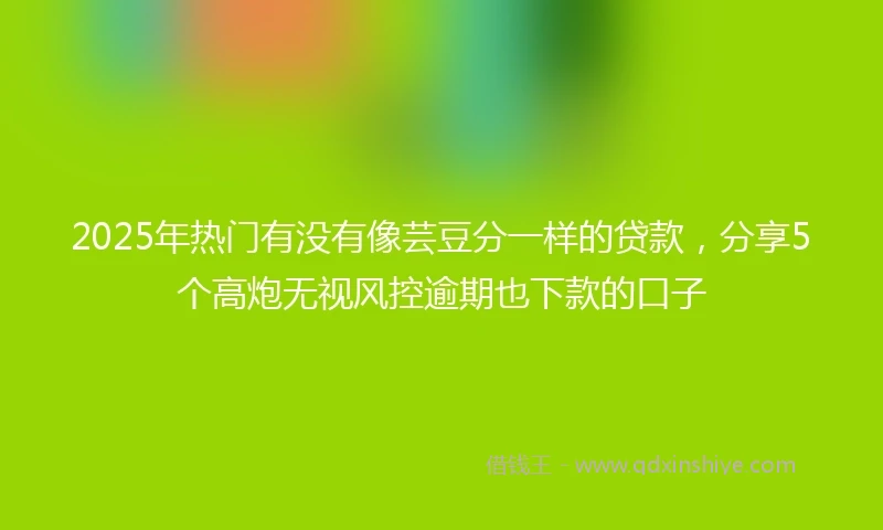 2025年热门有没有像芸豆分一样的贷款，分享5个高炮无视风控逾期也下款的口子