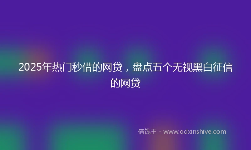 2025年热门秒借的网贷，盘点五个无视黑白征信的网贷