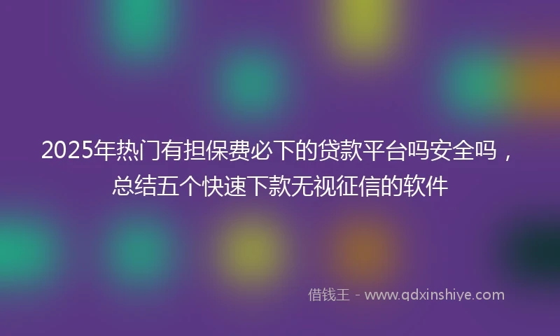 2025年热门有担保费必下的贷款平台吗安全吗，总结五个快速下款无视征信的软件