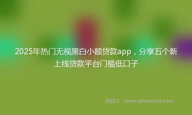 2025年热门无视黑白小额贷款app，分享五个新上线贷款平台门槛低口子