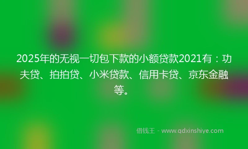 2025年的无视一切包下款的小额贷款2021有：功夫贷、拍拍贷、小米贷款、信用卡贷、京东金融等。