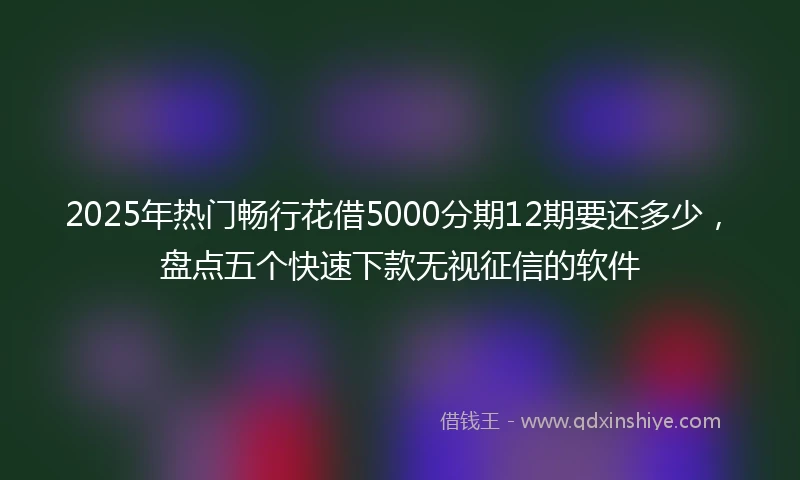 2025年热门畅行花借5000分期12期要还多少，盘点五个快速下款无视征信的软件
